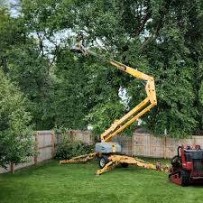  Thedral City, CA Tree Care Pros