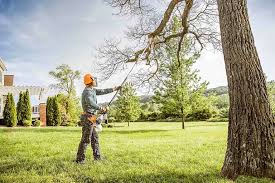 Best Leaf Removal  in Thedral City, CA